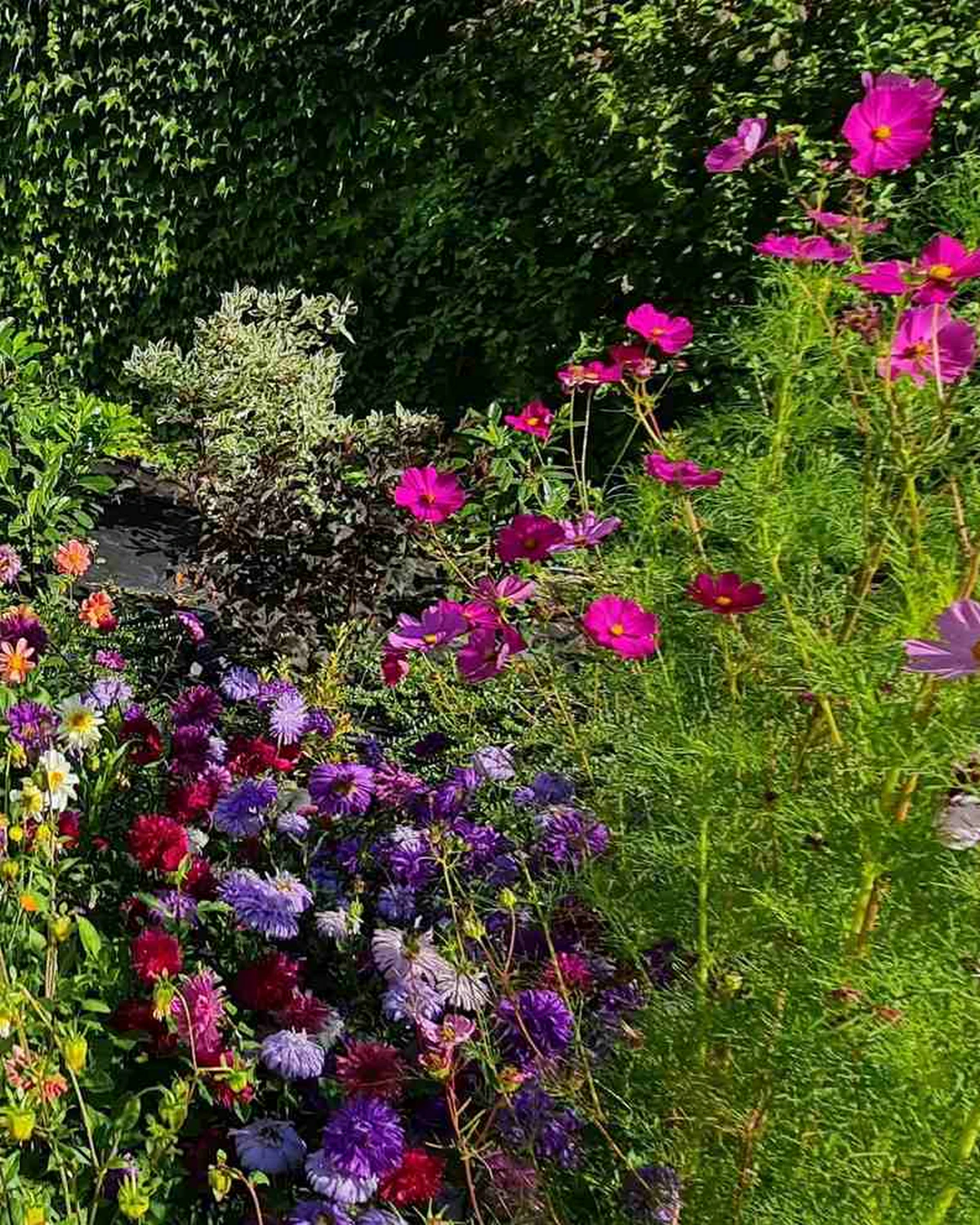 ungarnwohnung-flower-.webp