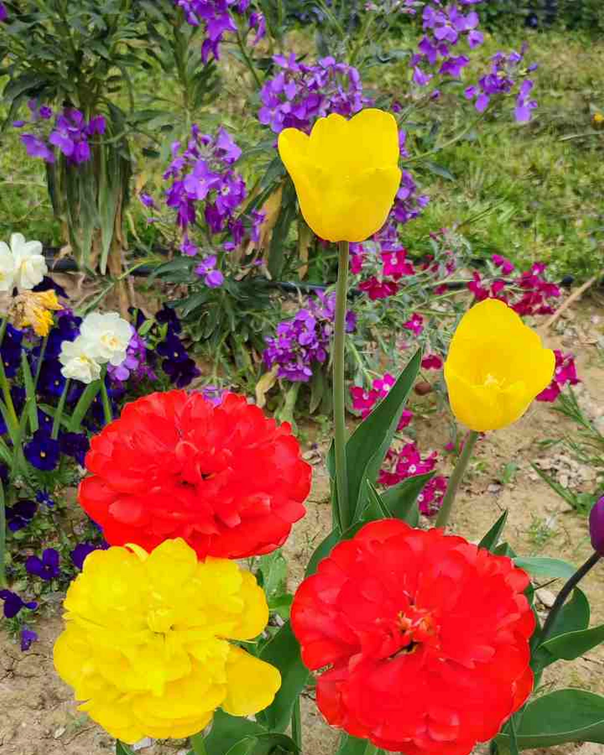 ungarnwohnung-flower-_10.webp