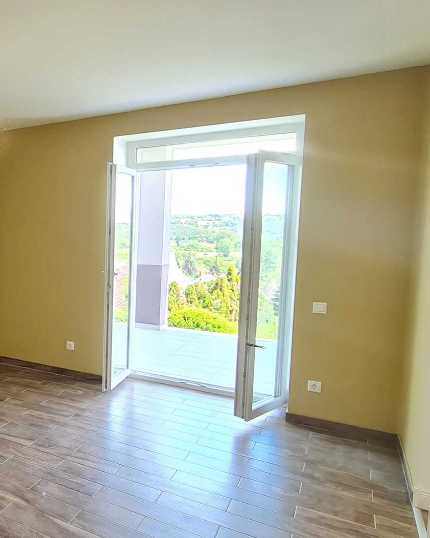 4-5 Flat in Heviz