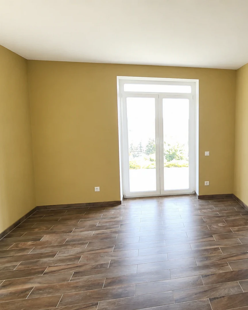 4-5 Flat in Heviz_2